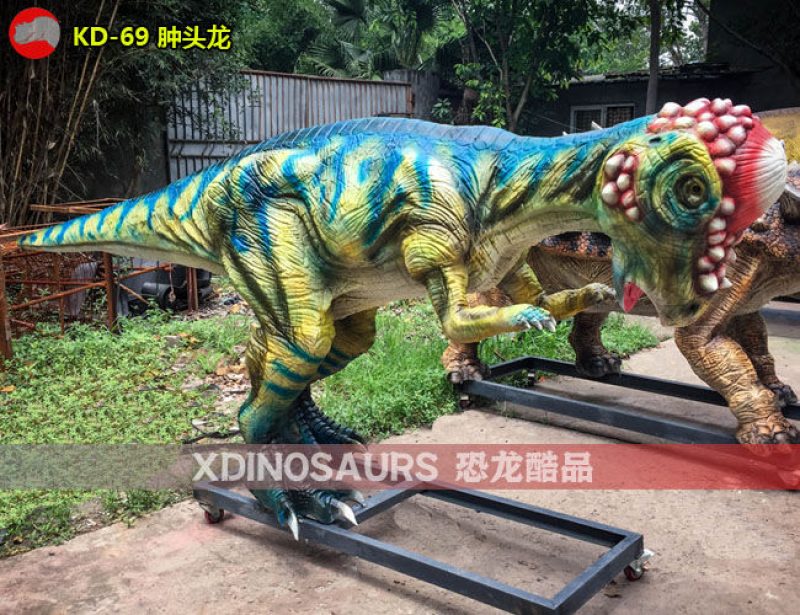 KD-69 4米體長腫頭龍