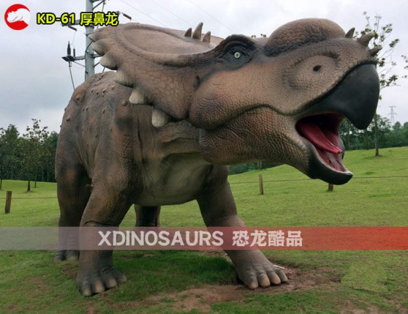 KD-61 8米體長厚鼻龍