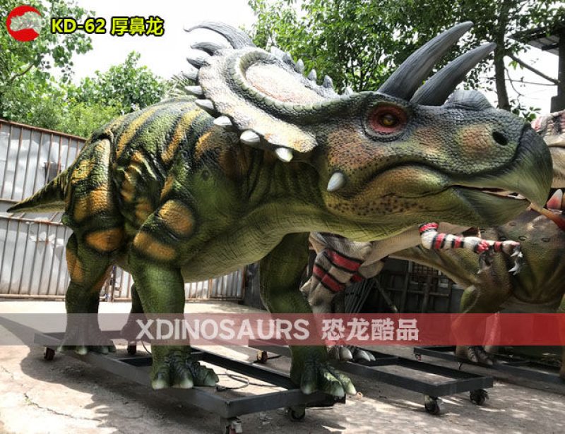 KD-62 6米體長厚鼻龍