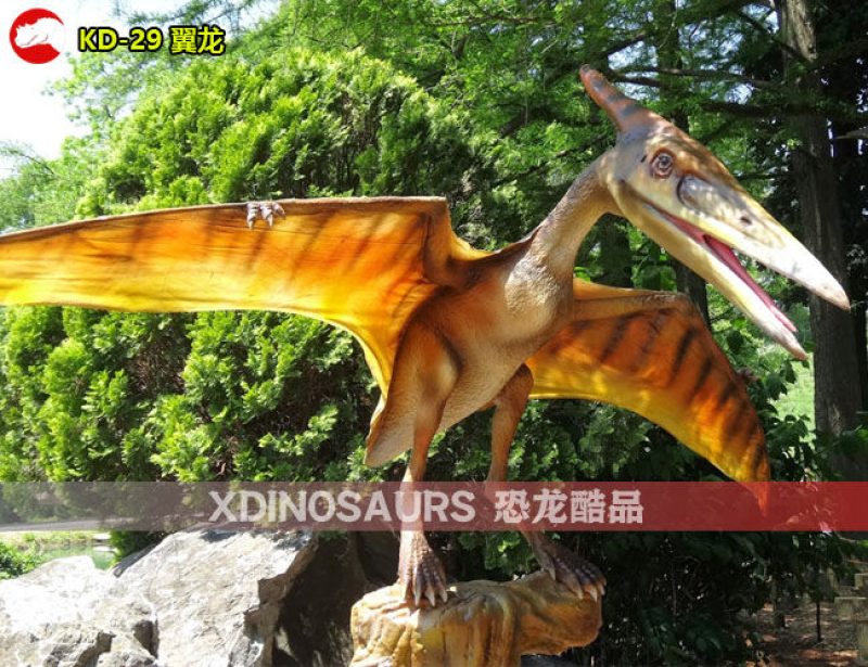 KD-29 4米翼展寬翼龍