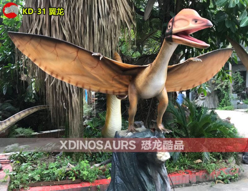 KD-31 4米翼展寬翼龍
