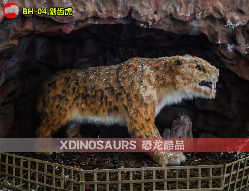 BH-04 2.5米體長劍齒虎