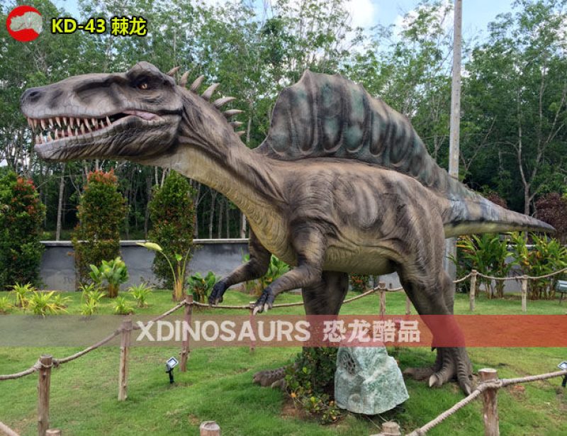 KD-43 7米體長棘龍