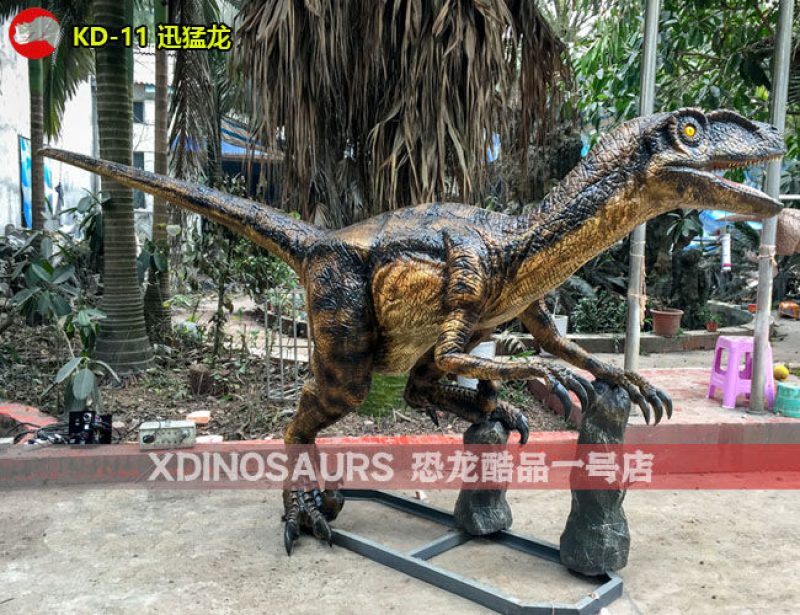 KD-11 4米體長迅猛龍