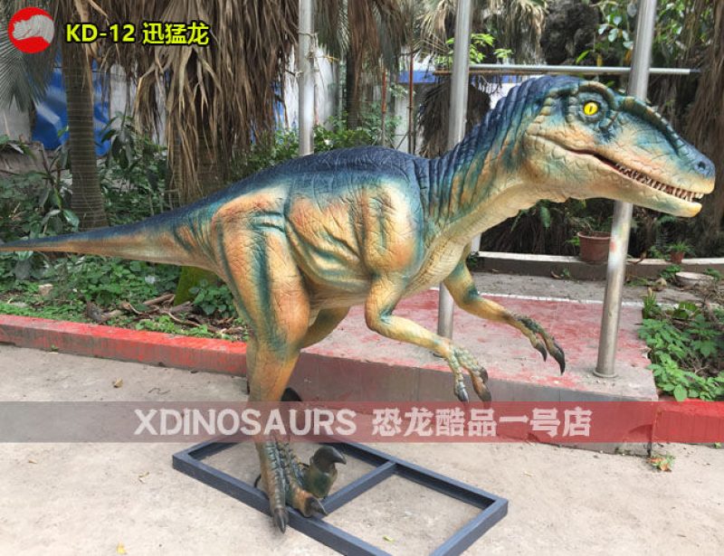 KD-12 4米體長迅猛龍