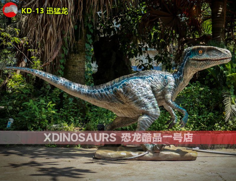 KD-13 3米體長迅猛龍