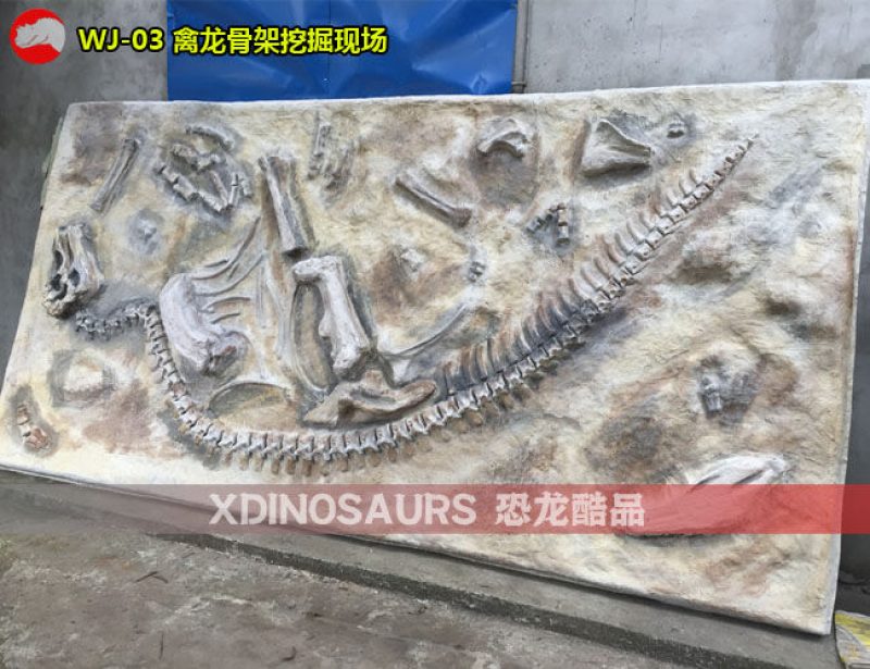 WJ-03 禽龍骨架挖掘現(xiàn)場