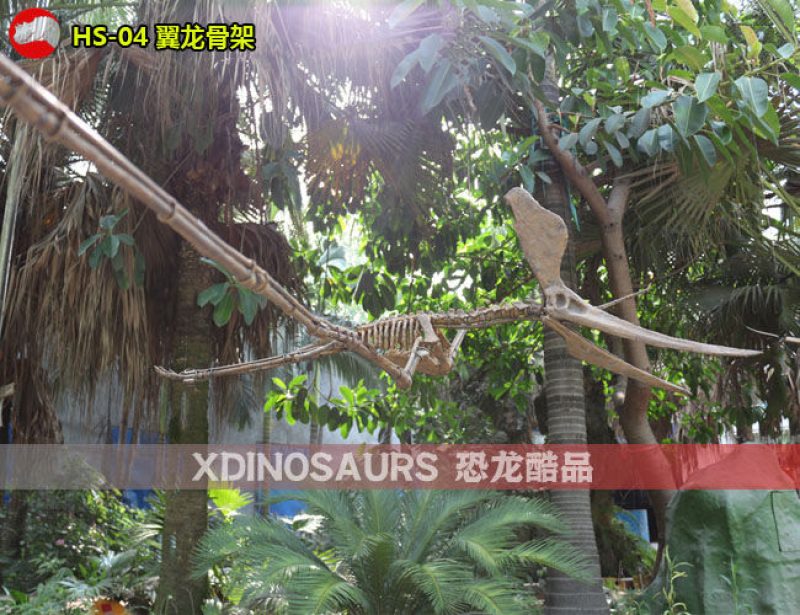 HS-04 仿真翼龍骨架