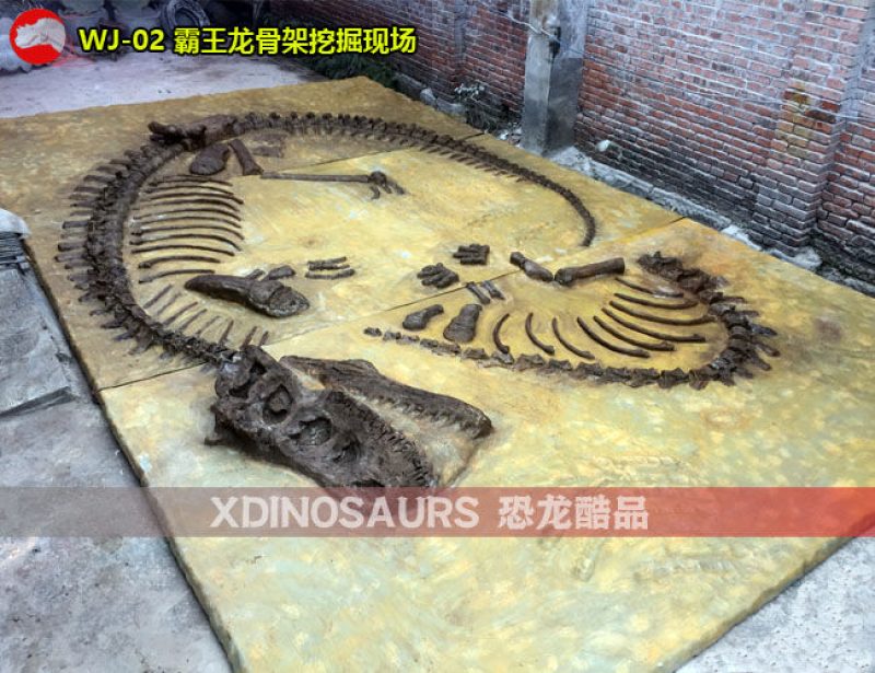 WJ-02 霸王龍骨架挖掘現(xiàn)場