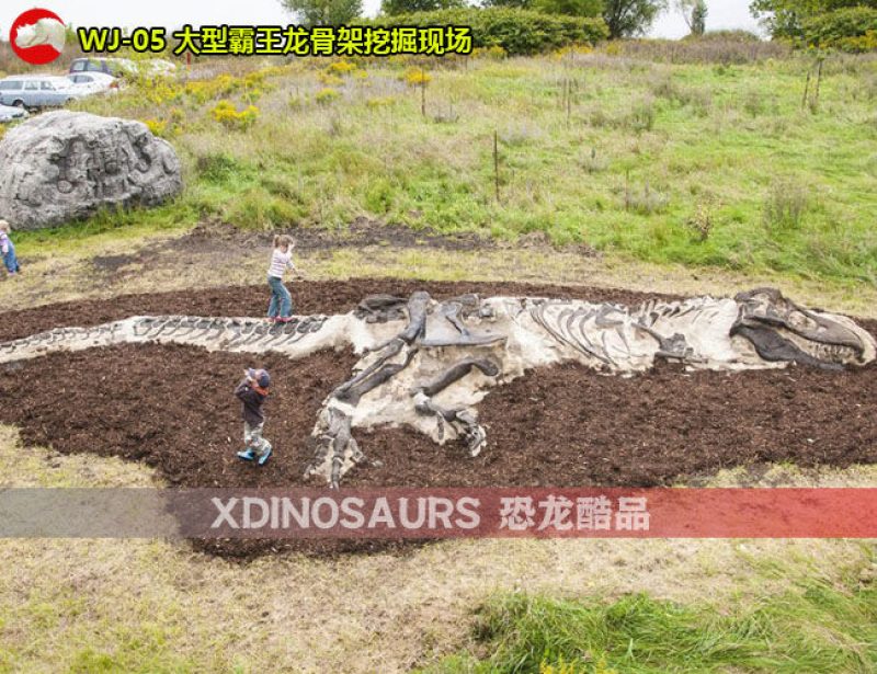 WJ-05 大型霸王龍骨架挖掘現(xiàn)場(chǎng)