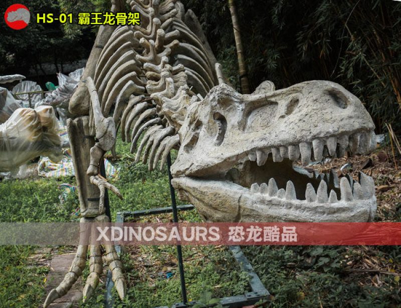 HS-01 仿真霸王龍骨架