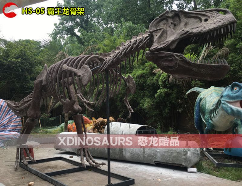 HS-05 仿真霸王龍化石