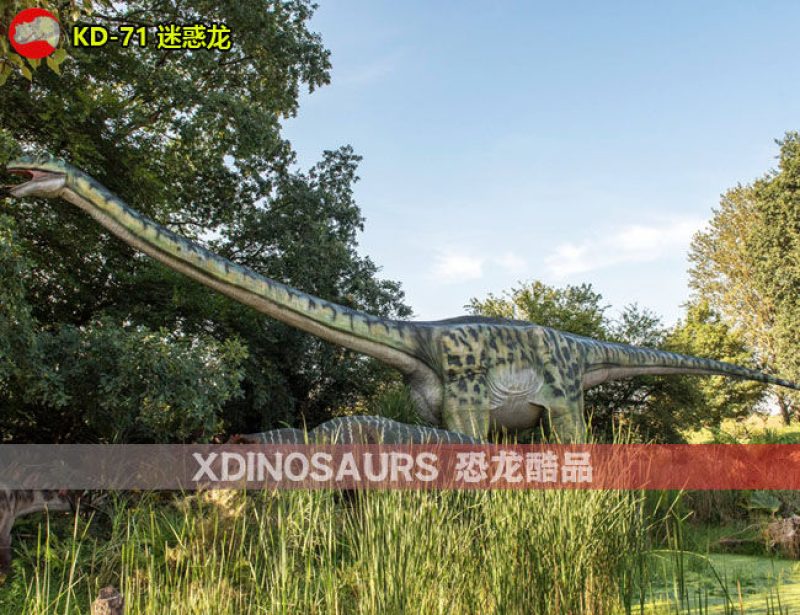 KD-71 20米體長(zhǎng)迷惑龍