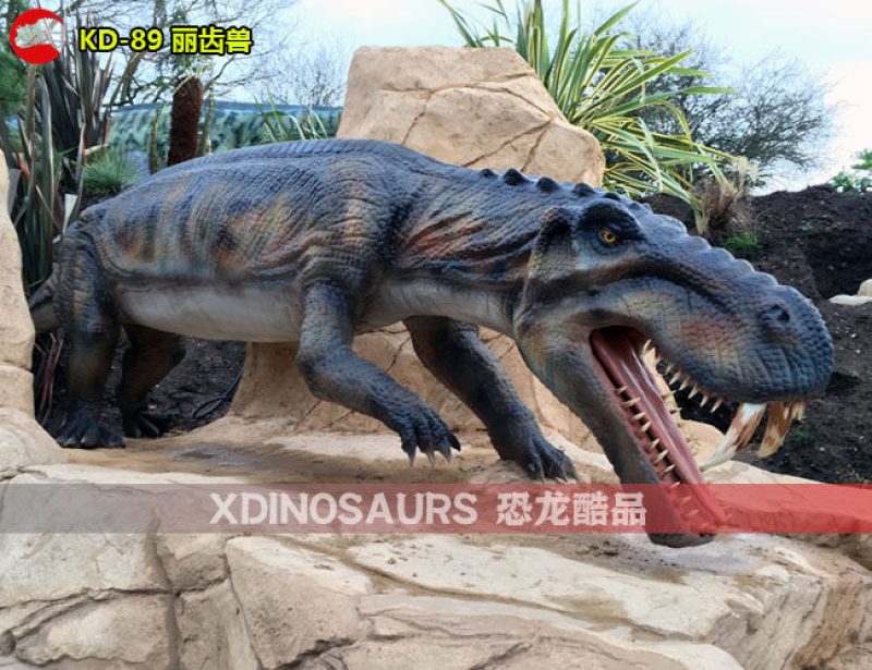 KD-89 4米體長麗齒獸