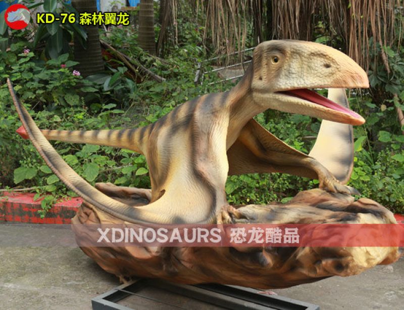 KD-76 2米體長森林翼龍