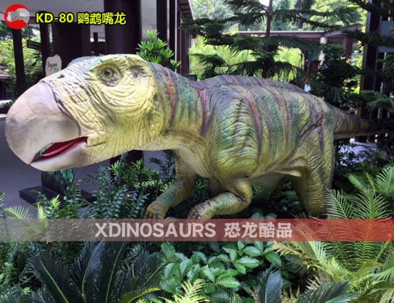 KD-80 4米體長(zhǎng)鸚鵡嘴龍