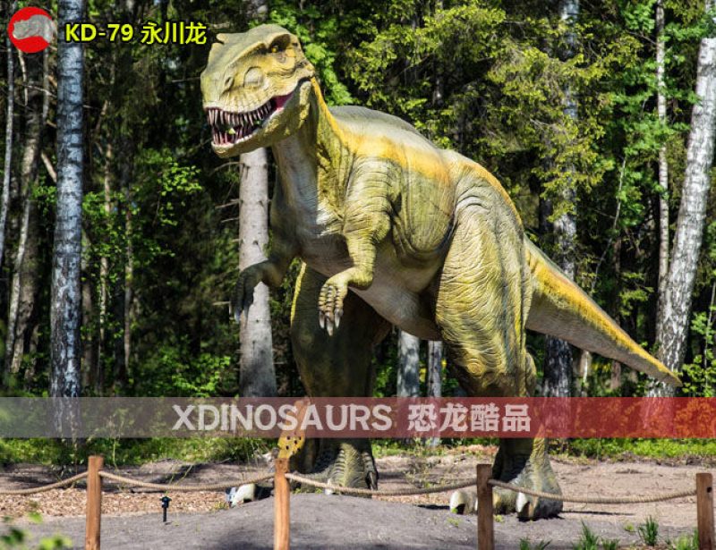 KD-79 10米體長(zhǎng)永川龍