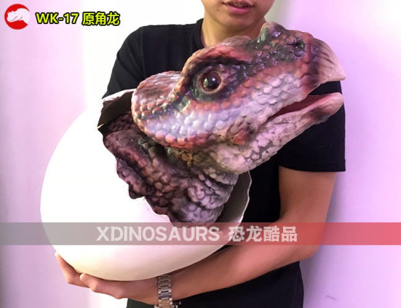WK-17 蛋殼原角龍玩偶模型