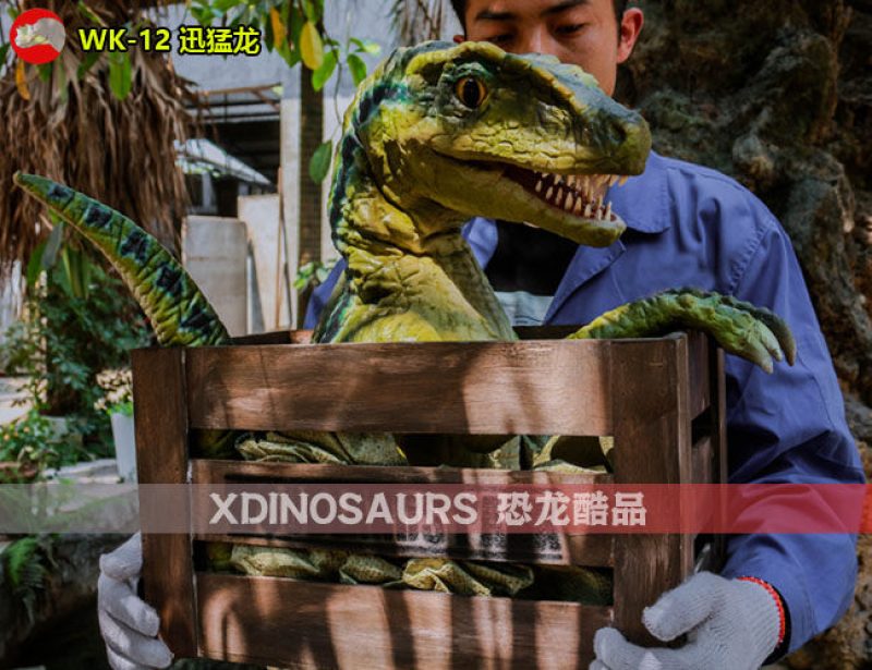 WK-12 木箱迅猛龍玩偶模型