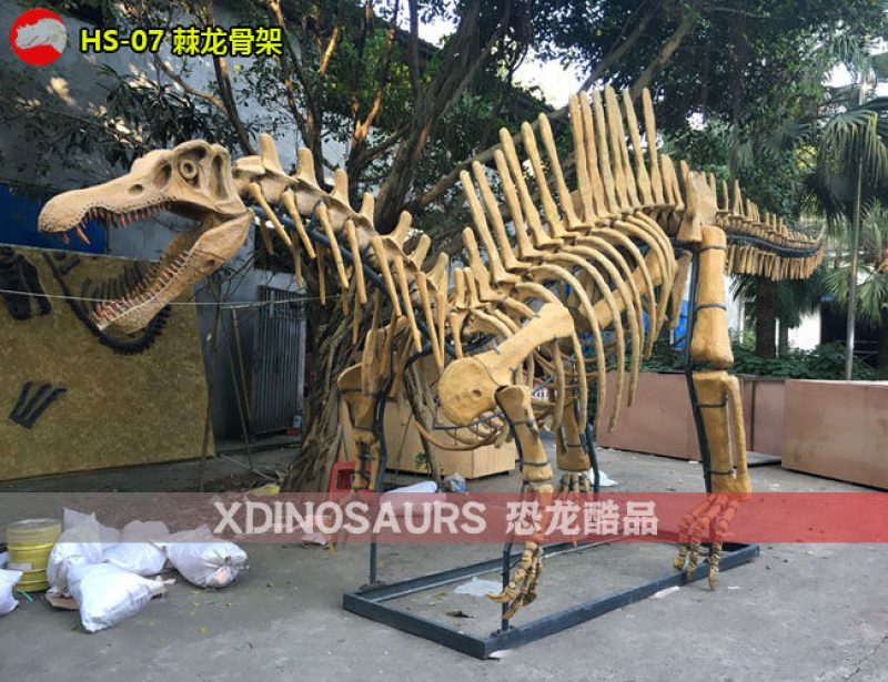 HS-07 仿真棘龍骨架復(fù)制品