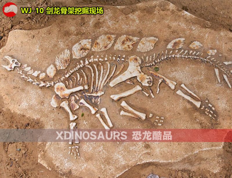 WJ-10 仿真劍龍骨架挖掘現(xiàn)場