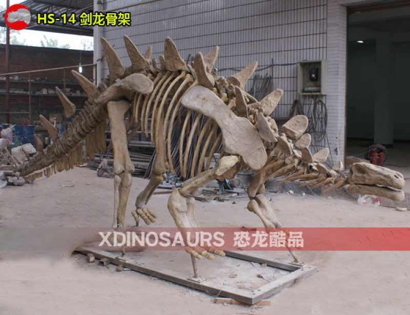 HS-14 仿真劍龍化石展品