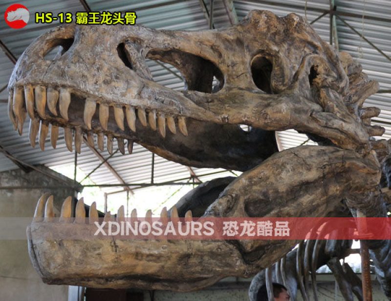 HS-13 仿真霸王龍頭骨架裝飾