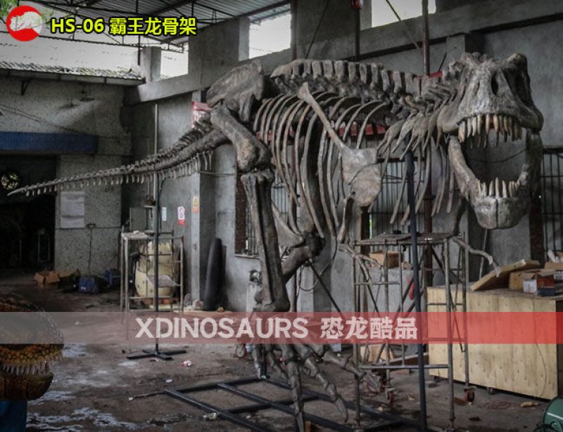 HS-06 仿真霸王龍骨架復(fù)制品