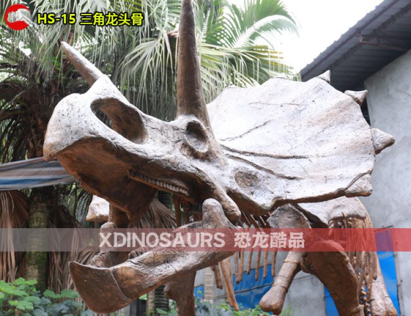 HS-15 仿真三角龍頭骨架裝飾