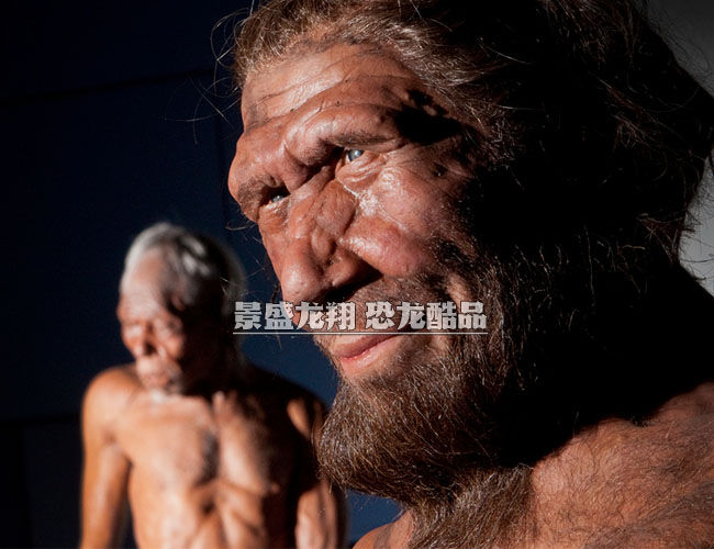 野人模型