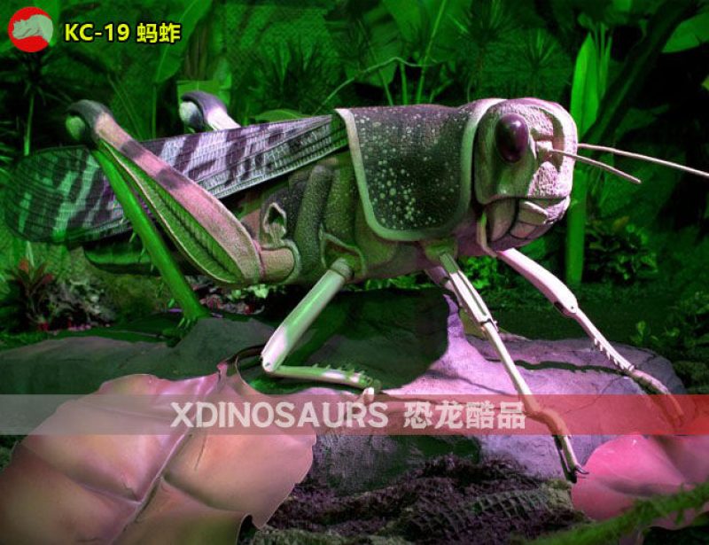KC-19 博物館仿真螞蚱模型