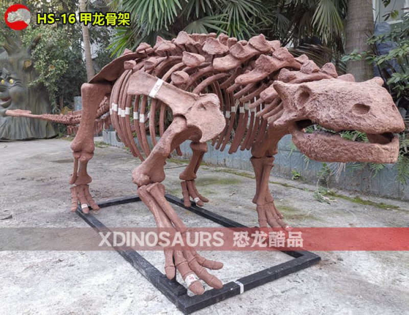 HS-16 仿真甲龍化石裝飾品