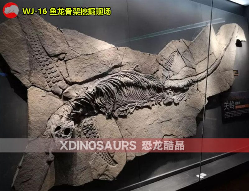 WJ-16 魚龍化石挖掘現(xiàn)場景觀