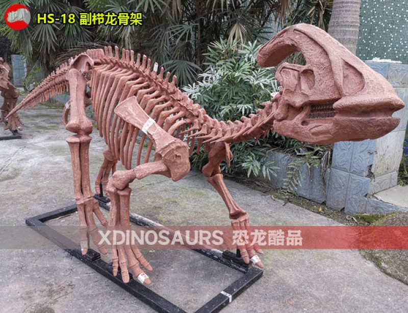 HS-18 高仿的副櫛龍骨架展品