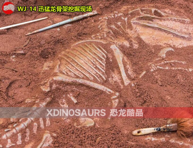 WJ-14 迅猛龍化石挖掘現(xiàn)場雕塑