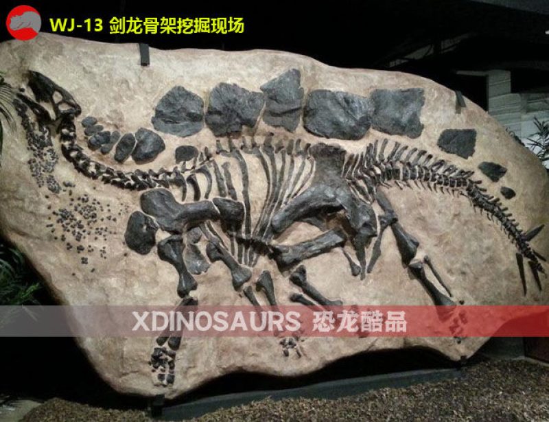WJ-13 玻璃鋼劍龍骨架模型(挖掘風(fēng)格)