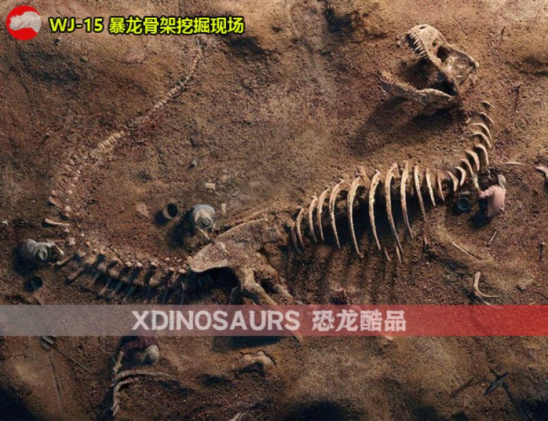 WJ-15 大型暴龍骨架挖掘現(xiàn)場