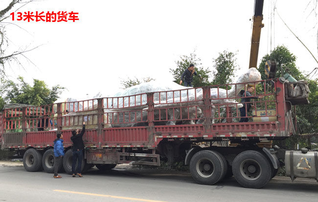 13米長的貨車運(yùn)輸仿真恐龍