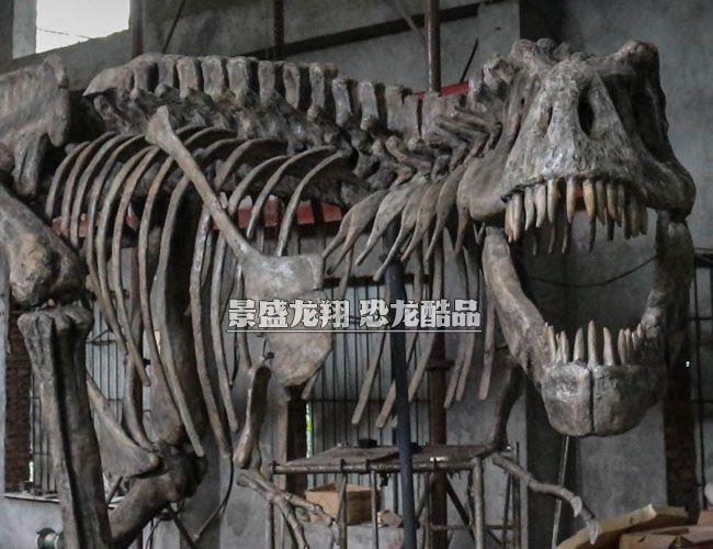 仿真恐龍骨架的制作-成品