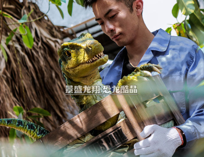 木箱迅猛龍玩偶