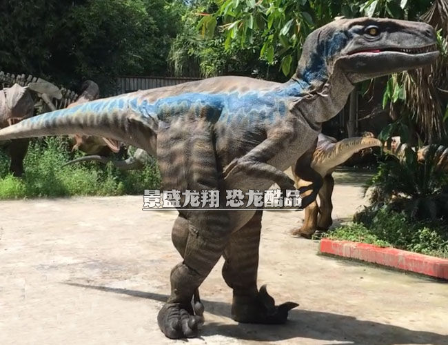 輕型迅猛龍服裝