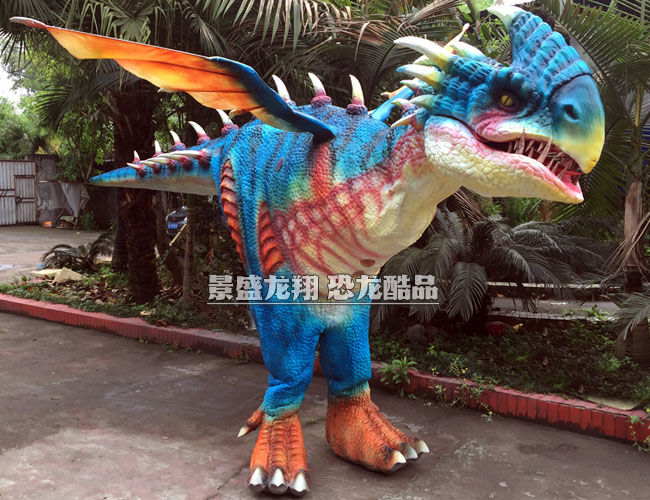 定制飛龍服裝